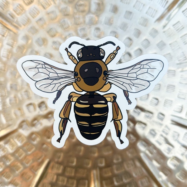 Honey Bee Worker Magnet, 4x2.96 in - Car Magnet/Refrigerator Magnet/Bee Magnet/Car Accessories