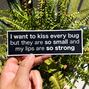 I Want To Kiss Every Bug (Large) Sticker, 6x1.98 in - Hydro flask sticker/Laptop decal/Waterproof/Weatherproof/Car sticker