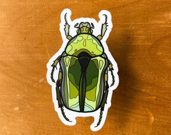 Pegatina de escarabajo escarabajo verde, 1.79x3 in - Pegatina de matraz hidro / vinilo / calcomanía para computadora portátil / impermeable / resistente a la intemperie / pegatina para automóvil