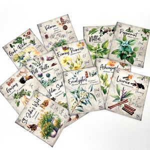 Genezende kruiden SET 2, wortelbloemen apotheker geneeskrachtige remedie referentie 3,3x4" kaarten afdrukbare kortstondige scrapbooking mooi, informatief