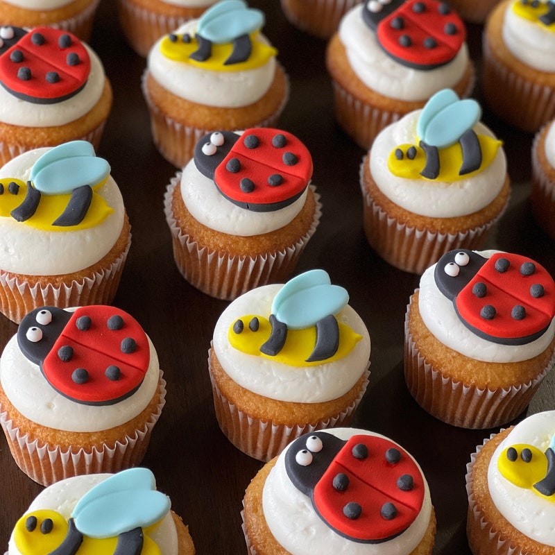 Lady Bug Cake Topper - Etsy
