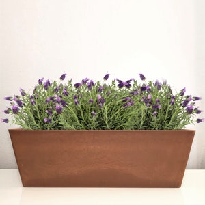 May include: A terracotta planter with a rectangular shape and a wide, shallow design. The planter is filled with a lush green plant with purple flowers.