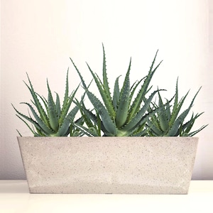 May include: A white planter with a speckled finish holds a group of green succulent plants. The planter is rectangular with rounded edges.