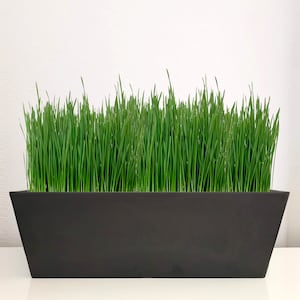 Linea Windowsill Planters 