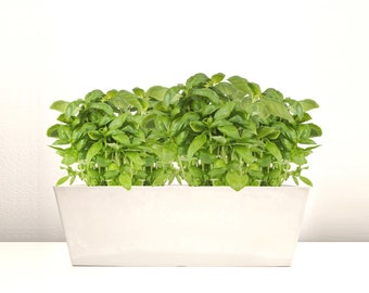 POPPY Composite Countertop Planter - Rectangular Planter – Herb Planter – Windowsill Planter - Tabletop Planter - White