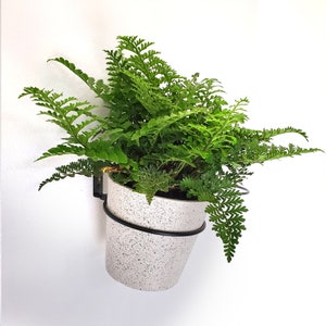 PEONY - Circular Wall Hanging Composite Planter - White Terrazzo - Wall Planter - Hanging Planter