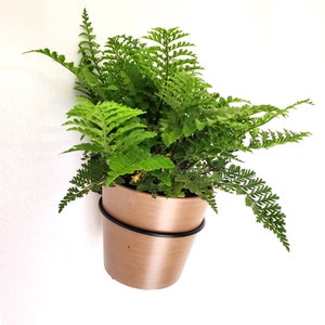 PEONY - Circular Wall Hanging Composite Planter - Dark Terracotta - Wall Planter - Hanging Planter