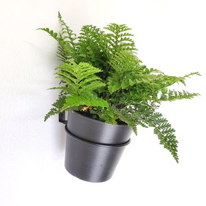 PEONY - Circular Wall Hanging Composite Planter - Black - Wall Planter - Hanging Planter