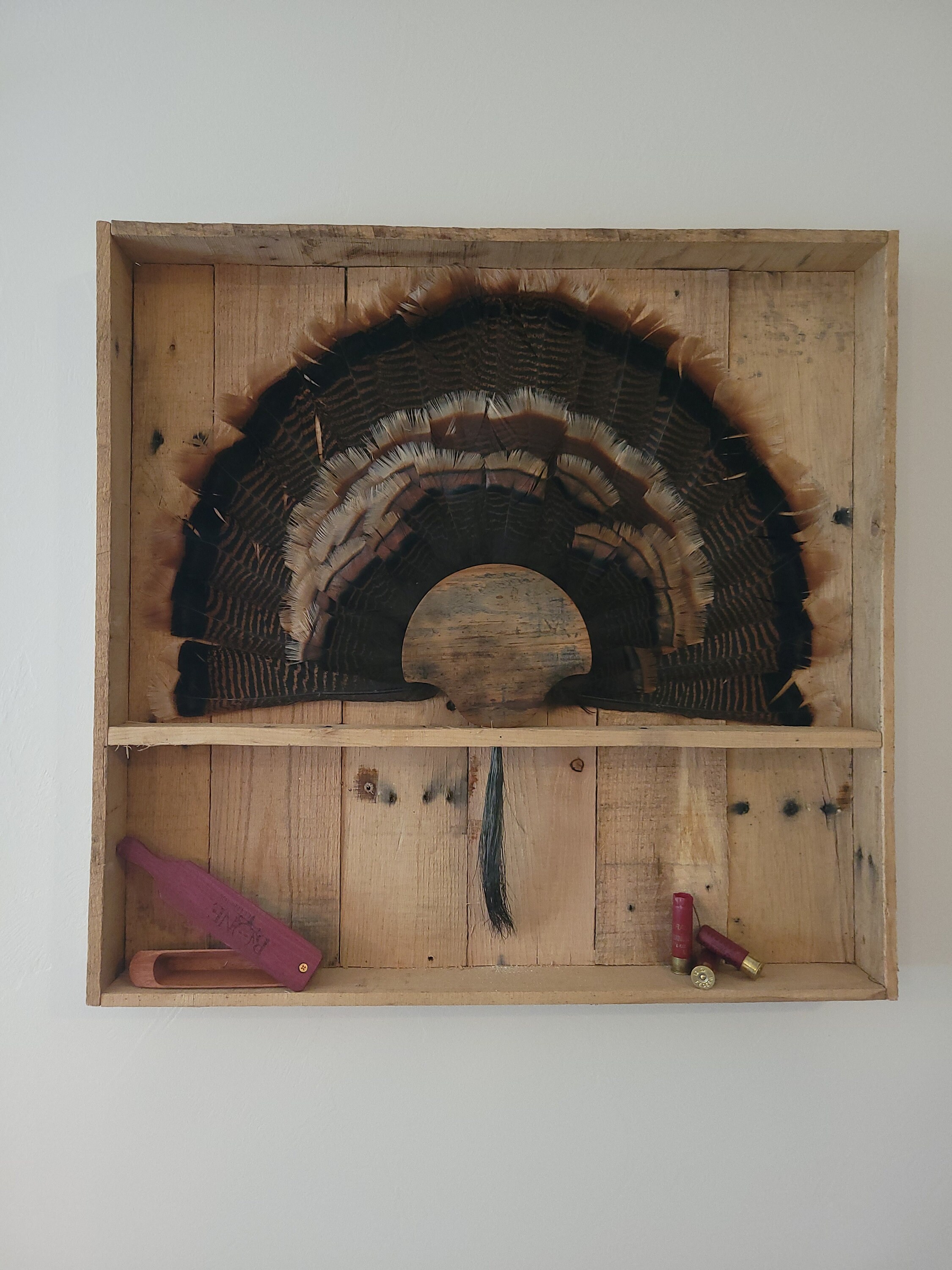 Turkey Mount Shadow Box Etsy