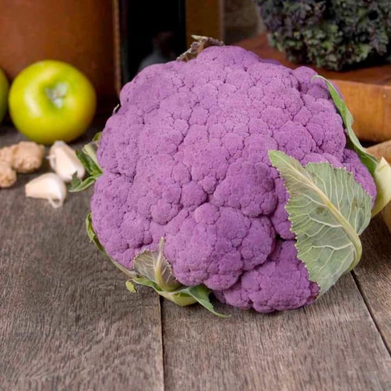200 Graines De Chou-fleur Violet De Sicile - Variété Rare, Goût Sucré Et Savoureux, Idéal Potager
