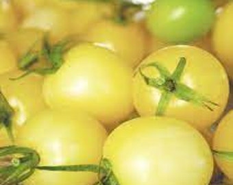 Organic White Cherry Tomato - 15 seeds