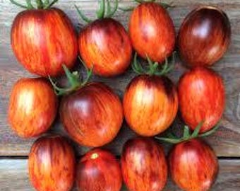Organic Gargamel Tomato - 20 seeds