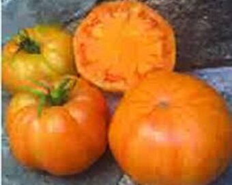 Organic Orange Jazz Tomato - 20 seeds