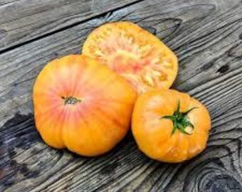 Organic Hazel Mae Tomato - 15 seeds