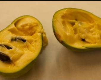 May include: Two halves of a green and yellow fruit with black seeds. The fruit is cut open and the inside is yellow.