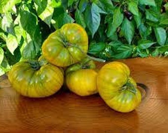 Organic Cherokee Green tomato - 20 seeds