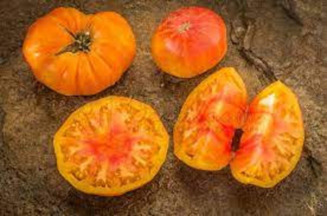 Organic Nature's Riddle Tomato - 20 Seeds - Etsy