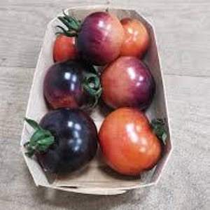 Organic OSU Blue (cherry) Tomato - 10 seeds