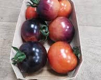 Organic OSU Blue (cherry) Tomato - 10 seeds