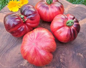 Organic Lovely Lush tomato - 10 seeds