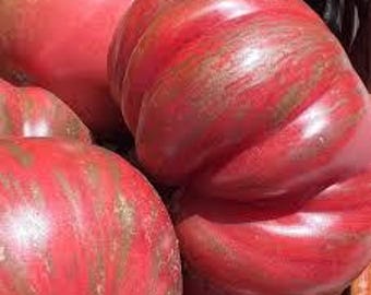 Organic Pink Berkeley Tie Dye Tomato - 25 seeds