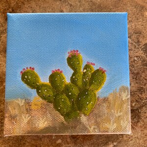 Fico d&#39;India Cactus