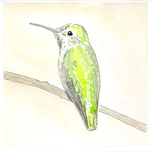 Hummingbird Watercolor