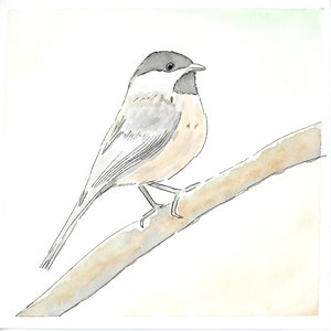 Chickadee Watercolor