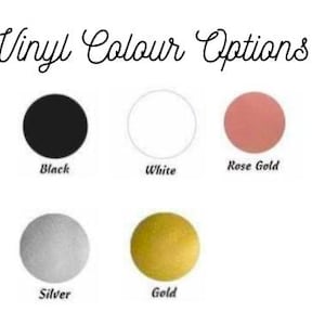Pu&ograve; includere: Una tabella dei colori intitolata Vinyl Colour Options che mostra cinque campioni circolari. I colori sono nero, bianco, oro rosa, argento e oro, ciascuno etichettato con il nome corrispondente in testo nero sotto il cerchio.