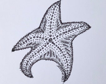 Print from Original Artwork Starfish Ink Drawing Print