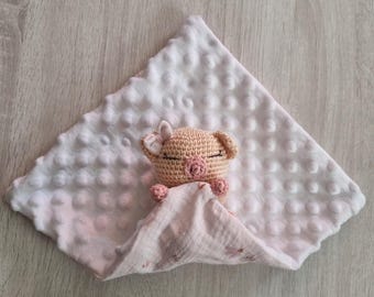 varkensdeken, gepersonaliseerde deken, deken met voornaam, meisjesdeken, bola deken, geboortecadeau