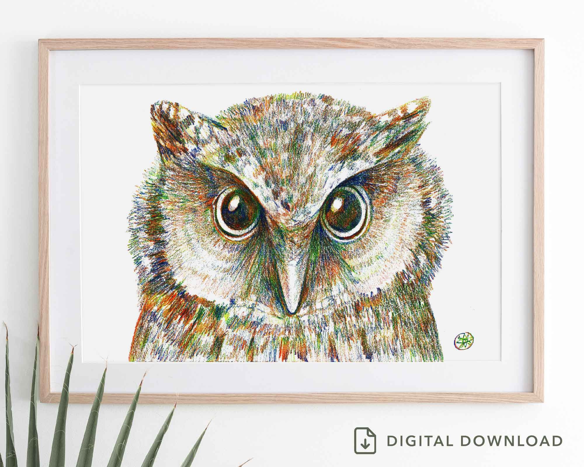 Eule Zeichnung Eule Illustration Eule Kunstdruck Eule | Etsy