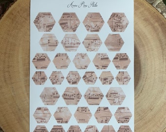 Vintage Music Notes Pattern | Hexagons | Sticker Sheet