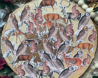 Vintage Woodland Animals Die Cut Stickers | Deer, Rabbits, Owls | 35 Pack