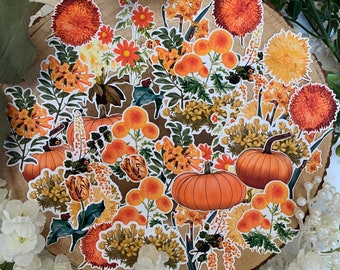 Autumn Stickers - Die Cut Pumpkins & Flowers, 40 Pack