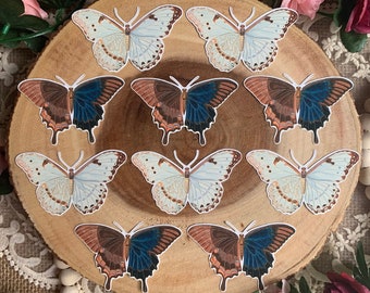 Vintage Butterflies Die Cut Stickers | 10 Pack | White Blue Brown Orange