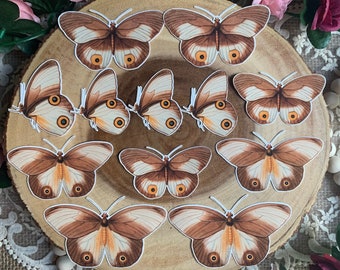 Vintage Die Cut Butterflies | 12 Pack | Brown Beige Orange