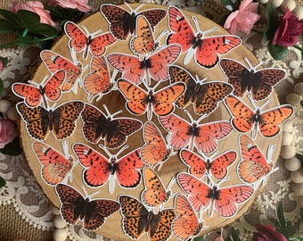 Vintage Orange Butterflies Die Cut Stickers | 25 Pack
