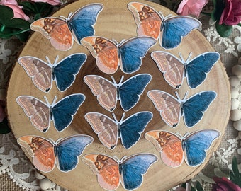 Vintage Butterflies Die Cut Stickers | 12 Pack | Orange Blue Beige Brown