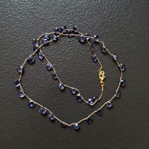 May include: A delicate necklace with a gold chain and small, dark purple gemstone beads.