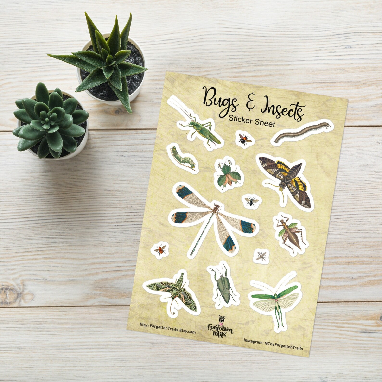 Insects Illustrated Sticker Sheet Pack | 'bugs & Insects' via 'sacred ...