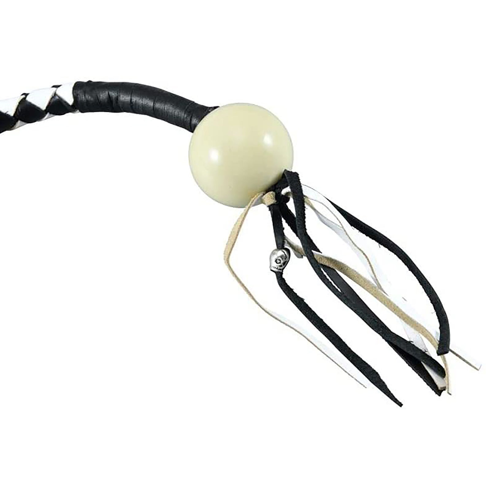 harley davidson get back whip