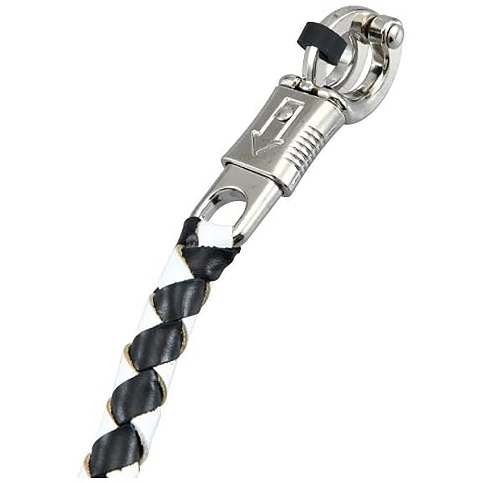 leather motorcycle get back whip