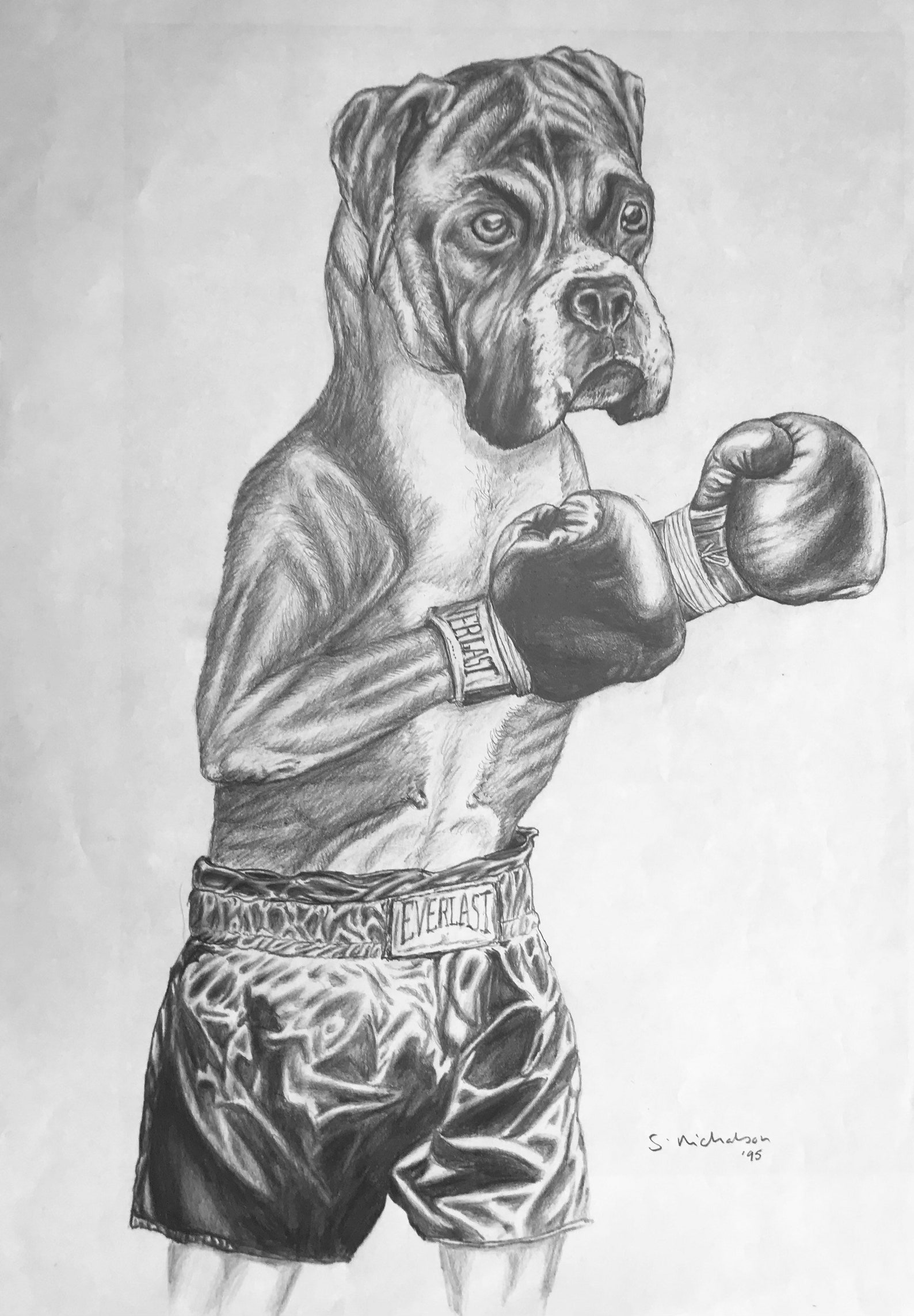 Boxer Dog Original Pencil Drawing | Etsy