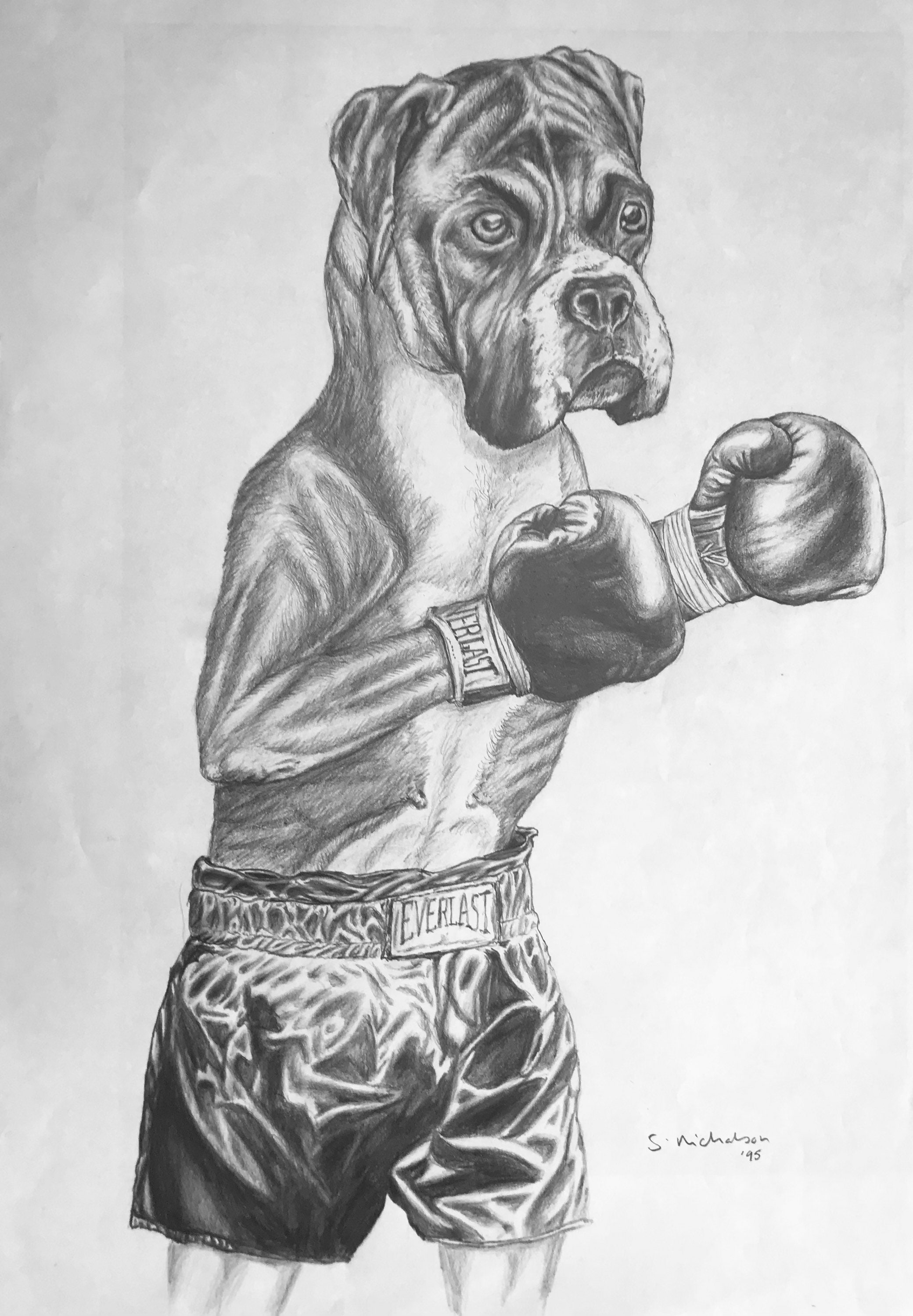Boxer Dog Original Pencil Drawing Etsy