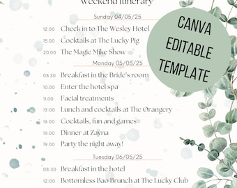 Editable Hen Party Itinerary Sage Green for Canva