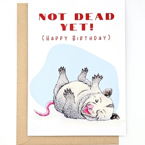 May include: A white greeting card with the text "NOT DEAD YET!" in red, and "(Happy Birthday)" in red below. The card features a cartoon opossum lying on its back with its tongue out. The card is inside a brown envelope.