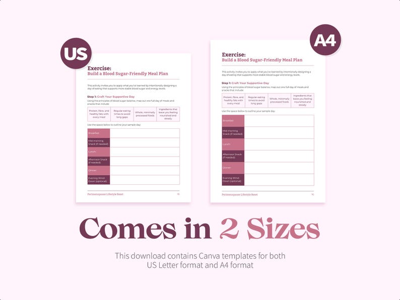 May include: Two printable worksheets in US Letter and A4 sizes, titled "Build a Blood Sugar-Friendly Meal Plan". Each worksheet has a table with columns for "Breakfast", "Lunch", "Dinner", and "Evening Snack" and rows for "My Morning Plate", "Protein", "Carbs", "Fats", and "Planning Tips".