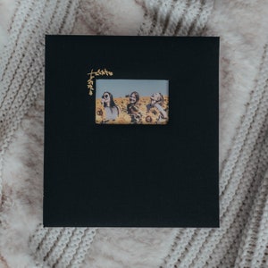 Large Photo Album with Window - 500 4x6 pockets - 13.75"x13.5" - Black with Gold Stamping