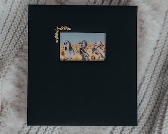 Large Photo Album with Window - 500 4x6 pockets - 13.75"x13.5" - Black with Gold Stamping